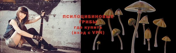 спиды Белоозёрский