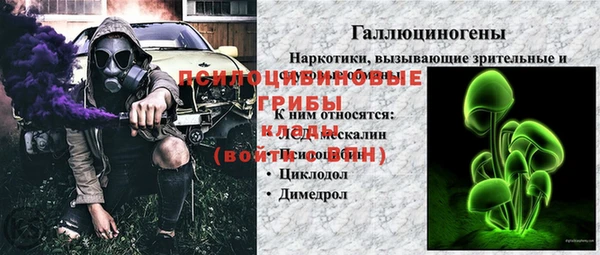 СК Белокуриха