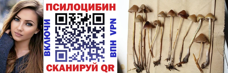 Галлюциногенные грибы Magic Shrooms  купить наркоту  Верещагино 